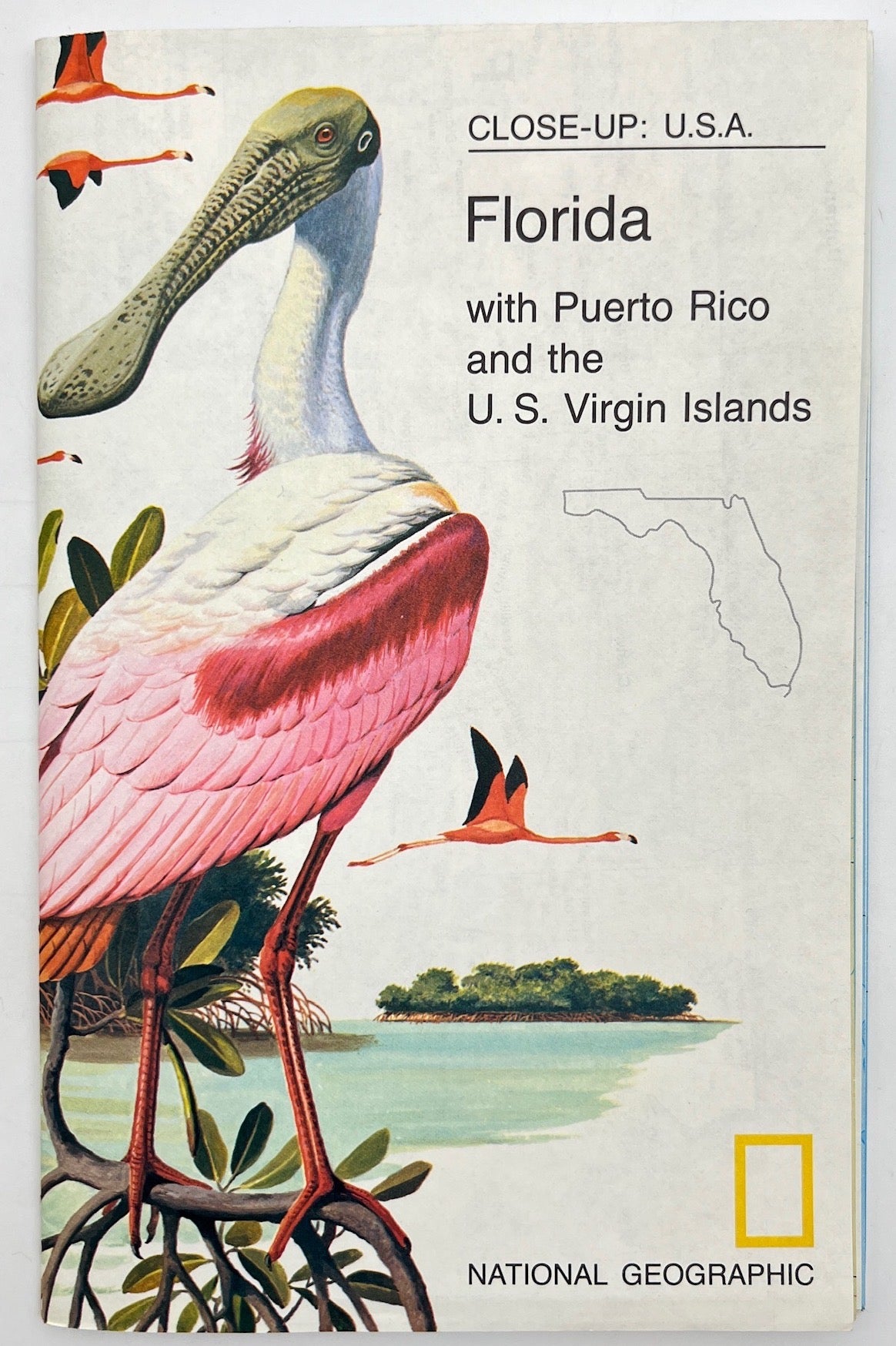 Vintage Map Print - National Geographic - Florida Puerto Rico Virg Islands 1973 - Dahlströms Fine Art
