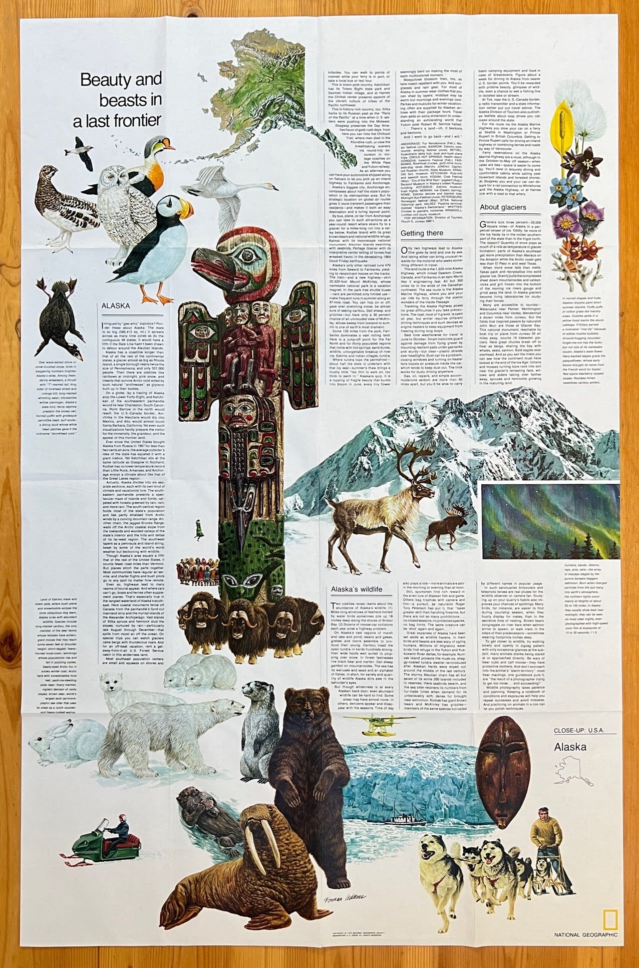 Vintage Map Print - National Geographic - Map of Alaska - Juneau - USA  - 1975 - Dahlströms Fine Art