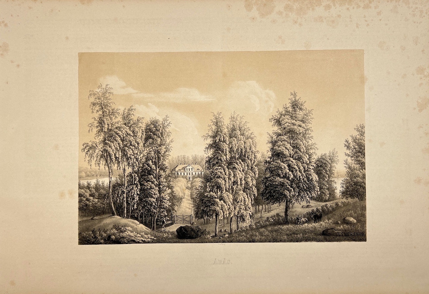 Antique Print - View of Aras - Austrheim - Vestland - Norway - Ulrik Thresher