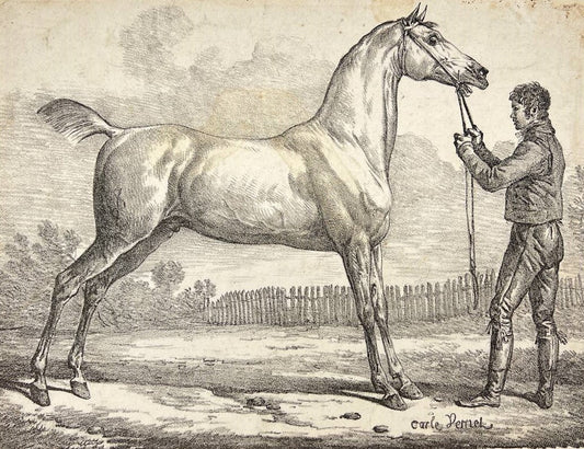 Original Antique Print - Arab, Turkish Gentleman with Horse - Henry Thomas