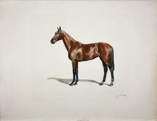 Original Antique Print - Horse - Jean-Marie Rivet - Paris - France - 1990–1999