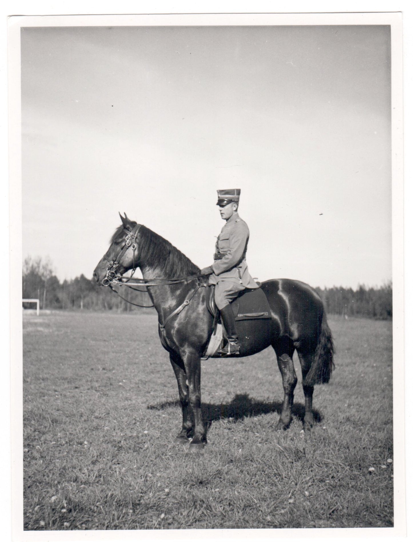 Vintage Military Photography - Swedish Officer - Serviceman on Horse - Sweden