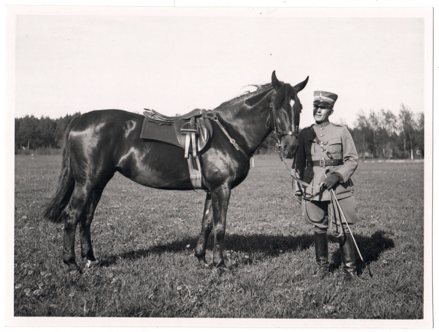 Vintage Photography - Military Forces - Solider - Military and Horse - Sweden