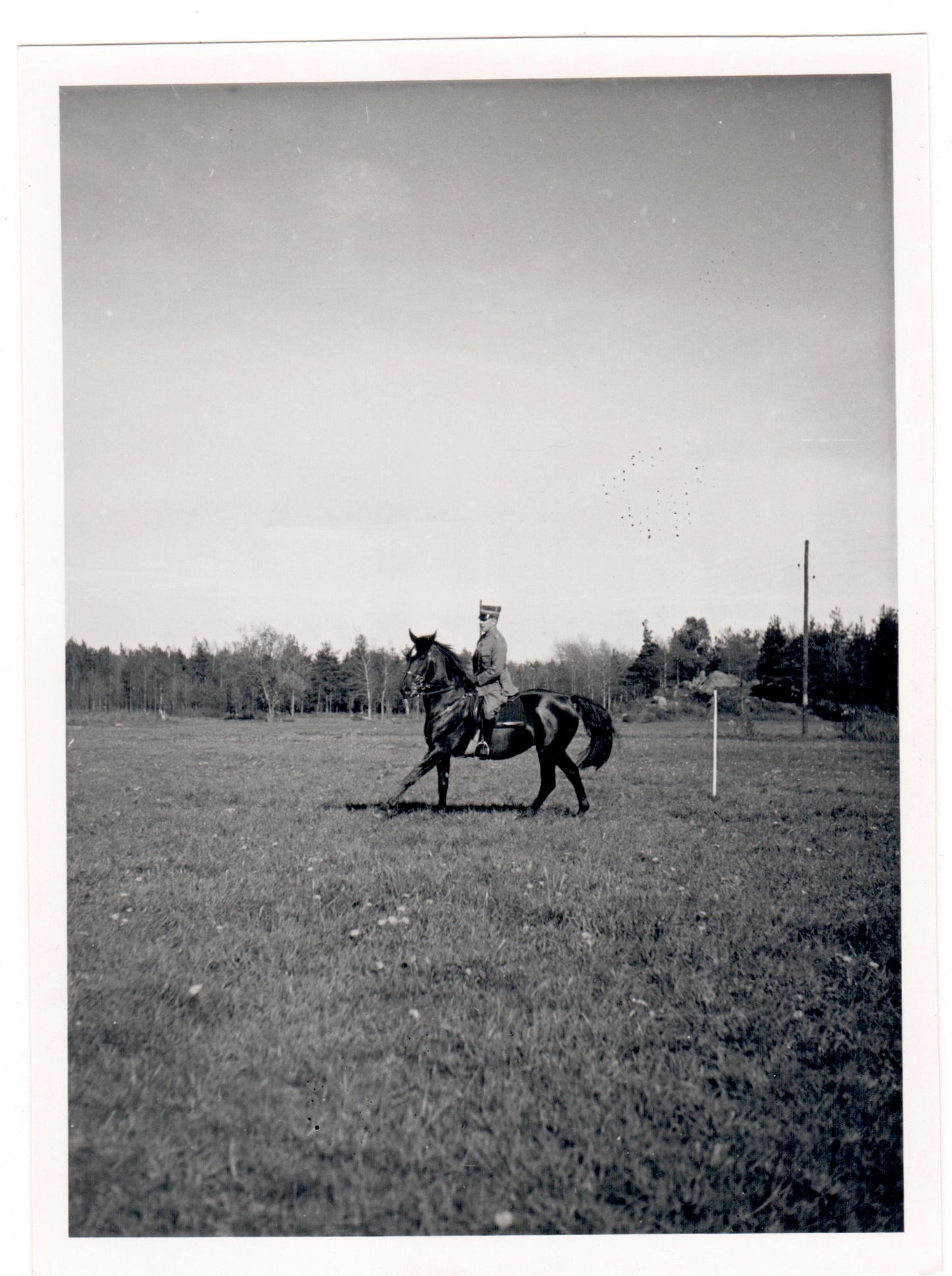 Vintage Photo - Dressage - Equestrian Sports - Officers - Man on Horse - Sweden
